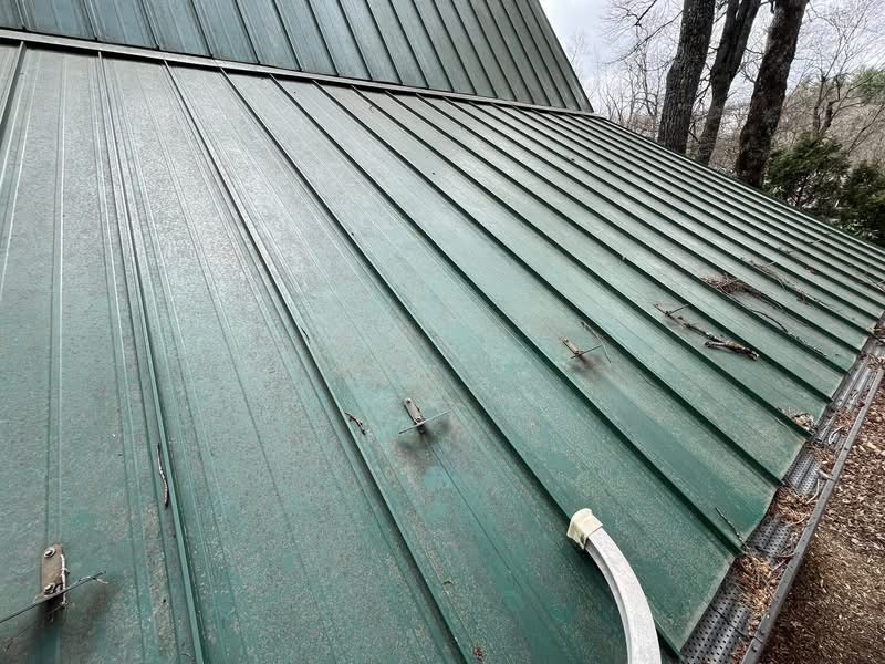 Before metal roof cleaning