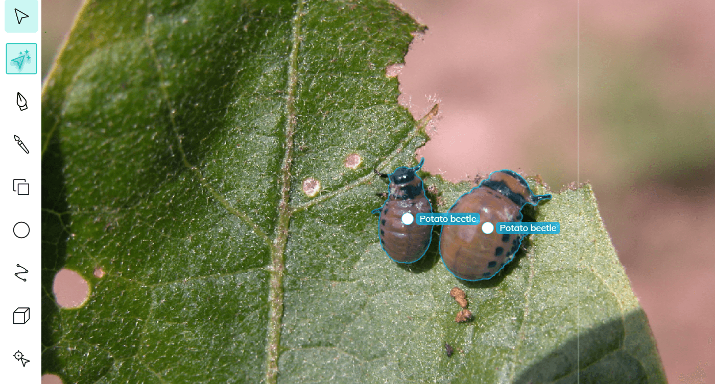 Two ML-assisted annotations of potato beetles for insect detection using computer vision.