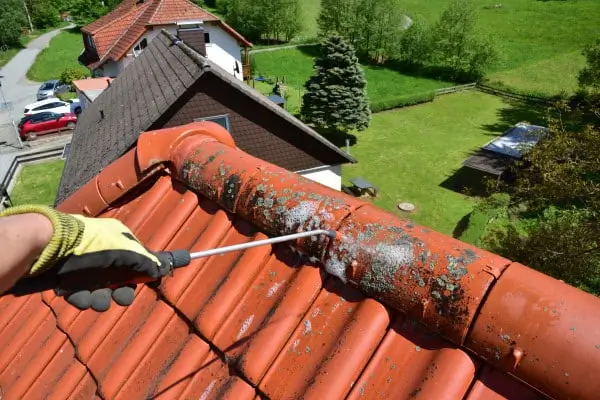 traitement fongicide toiture
