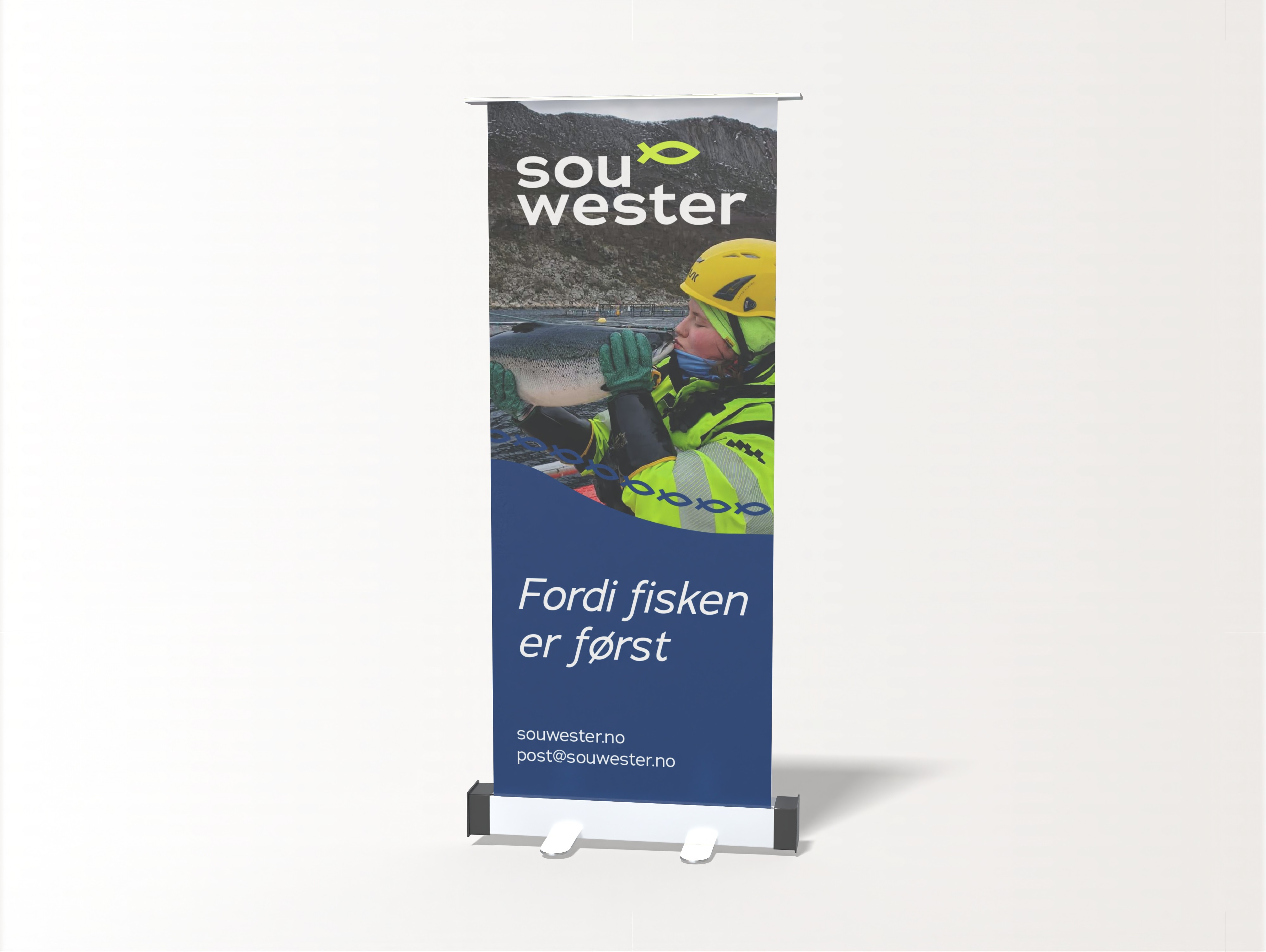 rollup banner for sou wester