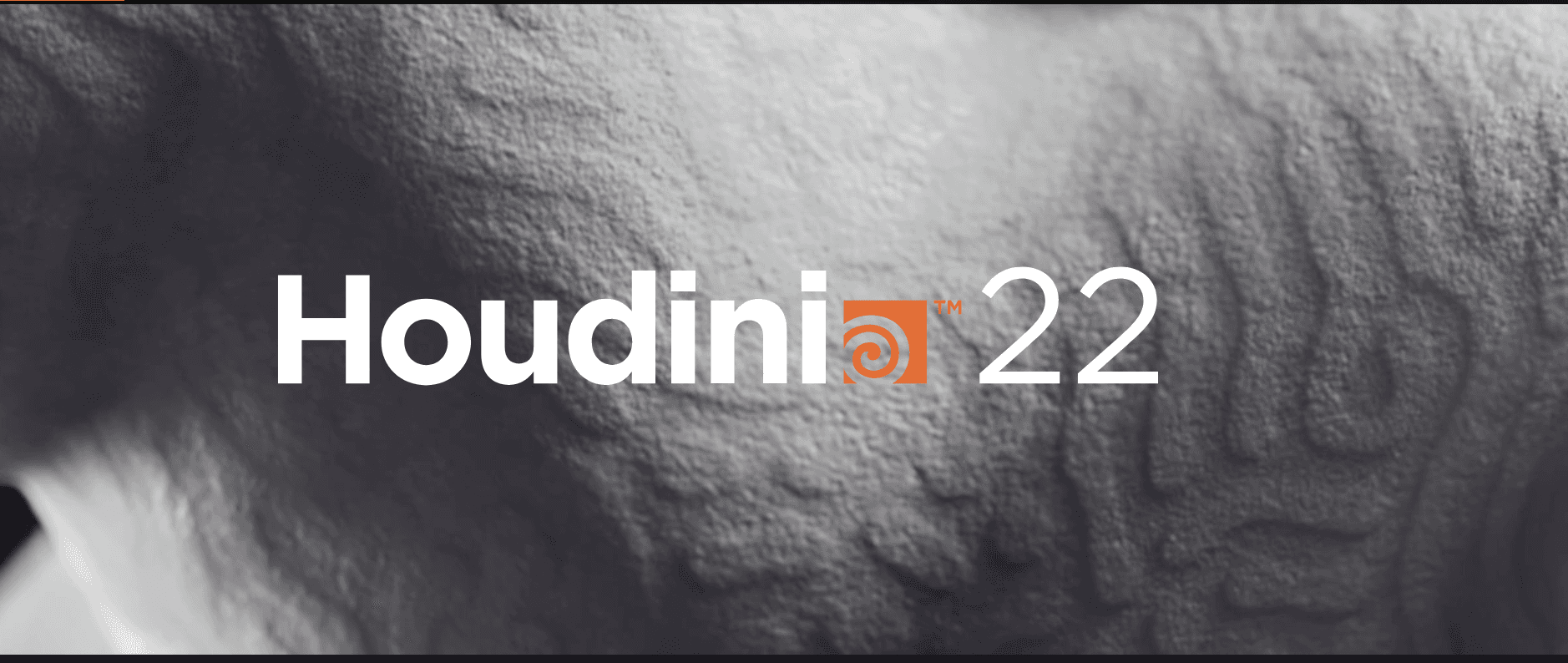 Houdini 22