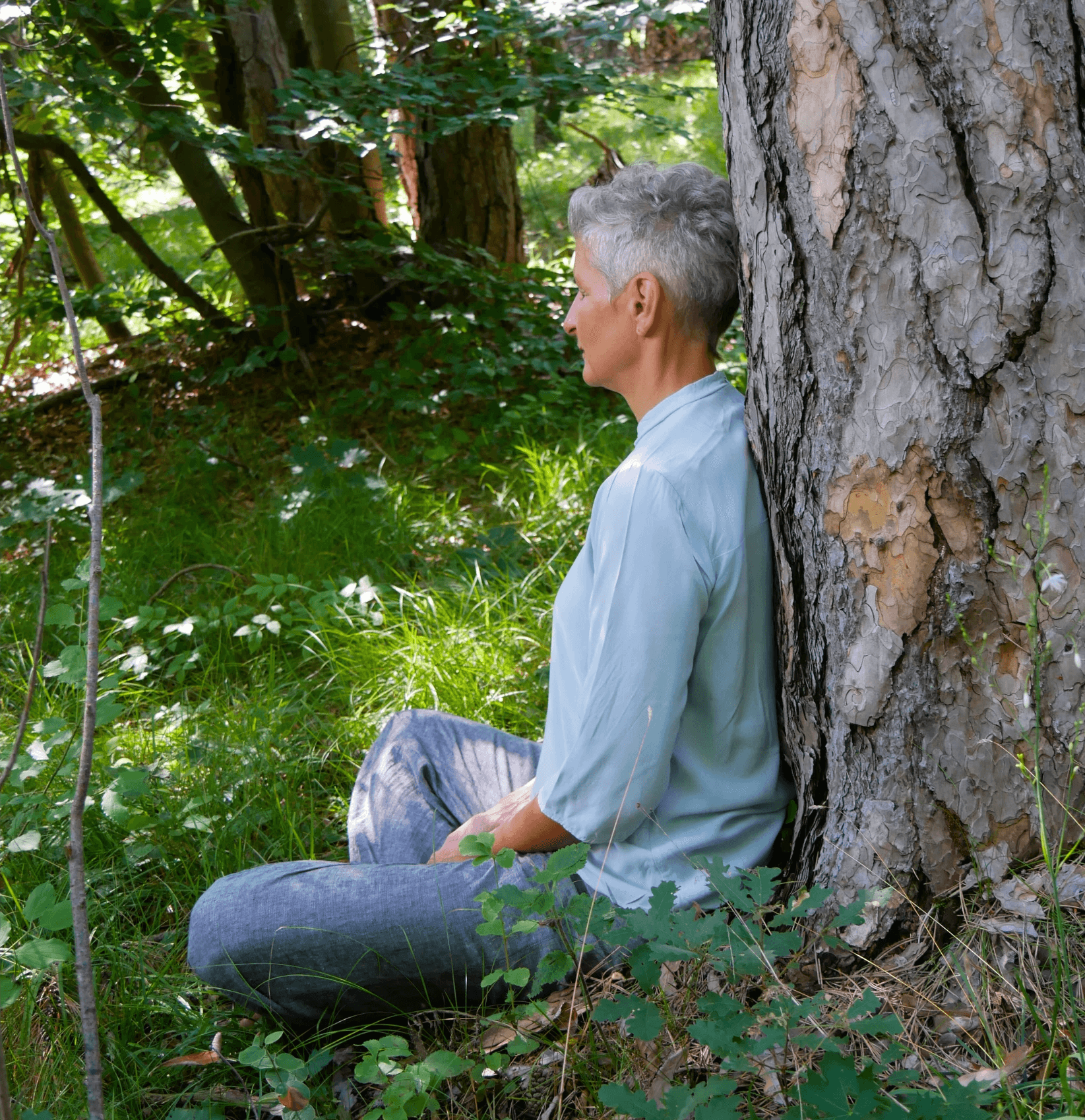 Person mit grauen Haaren und Brille steht im Wald und lehnt sich mit beiden Händen an den Stamm eines Baumes. Sie trägt ein gestreiftes Oberteil und eine graue Hose und blickt ruhig in die Kamera.