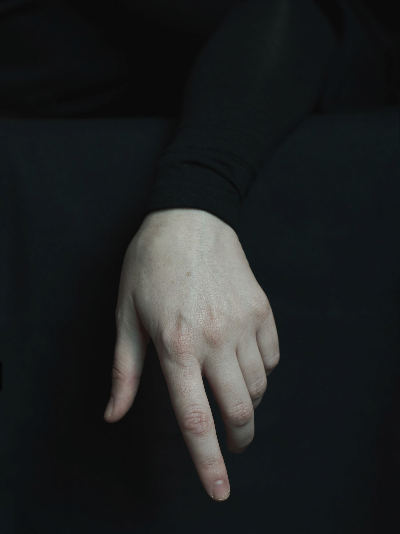 A beautiful photographic portrait of a hand with the feel and mood of a classical renaissance painting. The image is overall dark with subtle skin tones. 