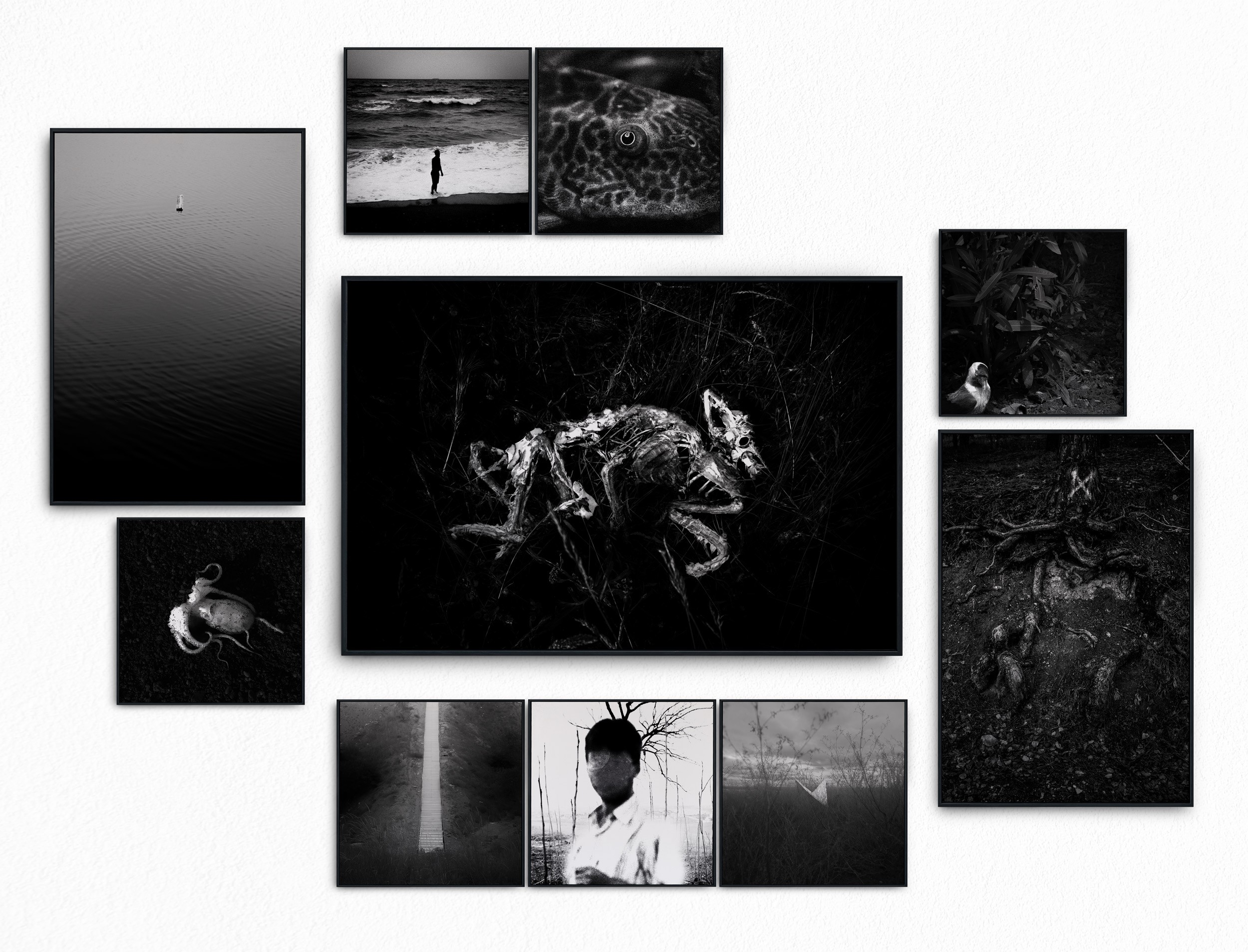 Modern home office setup with a monitor, ergonomic chair, keyboard, and indoor plants near a window with blinds.