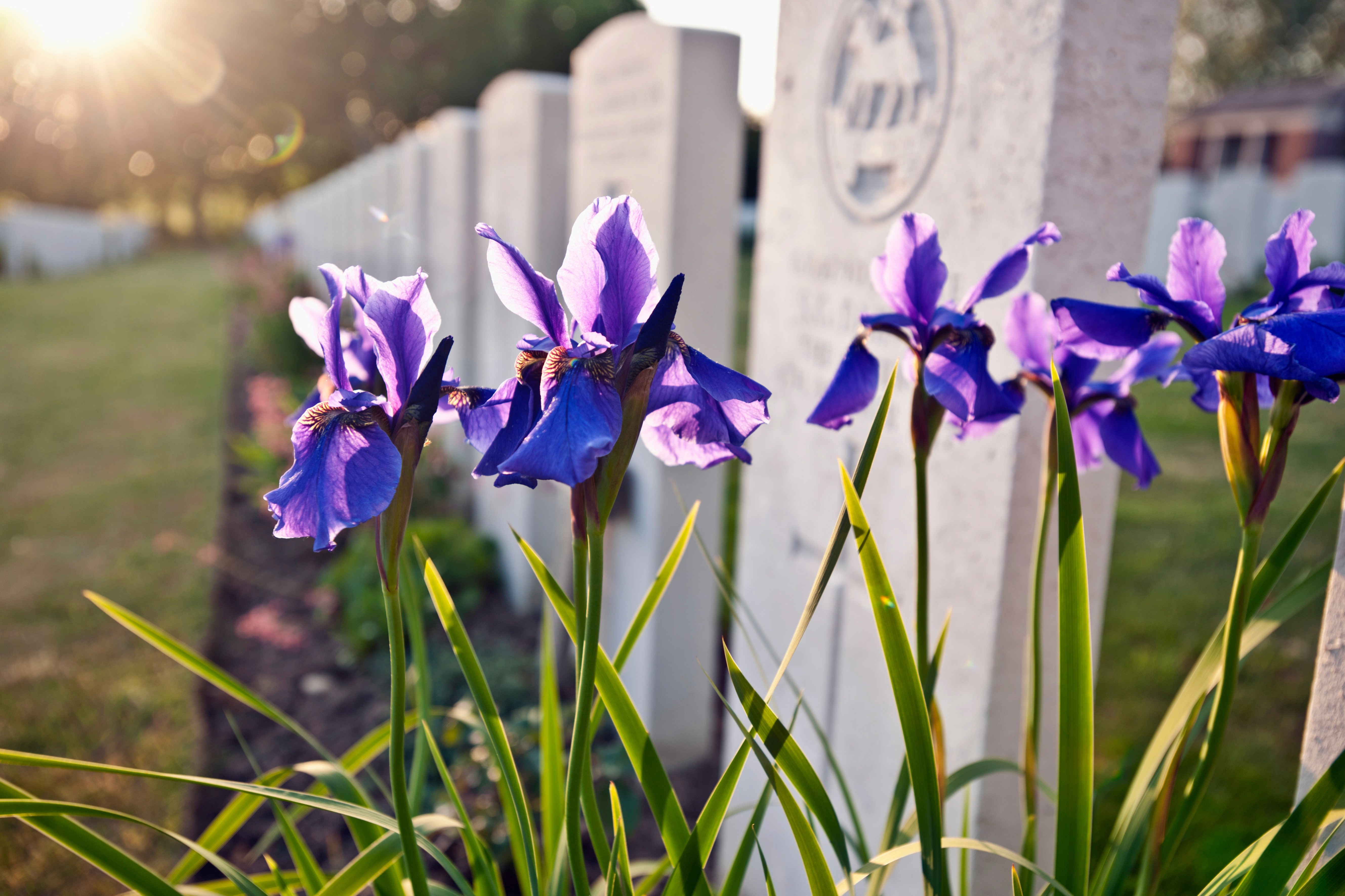 中國太陽能公司排名 中國太陽能龍頭 中國太陽能板價格 中國太陽能發電量 中國太陽能政策 中國太陽能發展 中國太陽能 一块太阳能板能发多少电 光伏龙头是谁 太阳能如何转化为电能 太阳能和光伏有什么区别 中國太陽能發電廠 大陸太陽能廠商 中國太陽能股票 中國太陽能工程 太陽能光伏發電系統工程  可再生能源系統  太陽能系統服務 可再生能源上網電價計劃 村屋太陽能發電系統 太陽能解決方案 太陽能發電系統 零投資太陽能計劃 太陽能安裝 太陽能維護 香港太陽能 太陽能公司 太陽能供應商 太陽能專家 綠色能源解決方案 商業太陽能 村屋太陽能 太陽能工程 天台太陽能工程 裝太陽能要多少錢 香港沒有哪種可再生能源 太陽能自用 需要申請嗎 違建可以裝太陽能板嗎 太陽能光伏系統安裝指南 太陽能板小型工程 安裝太陽能板壞處 安裝太陽能板費用 太陽能板安裝方法 太陽能板安裝指引 安裝太陽能板注意事項 村屋太陽能板屋宇署