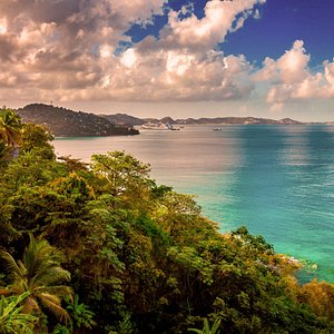 woman smiling wearing denim jacket