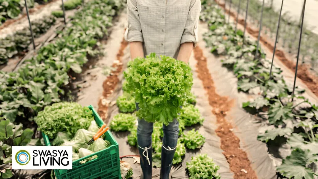 Agro-farming in India