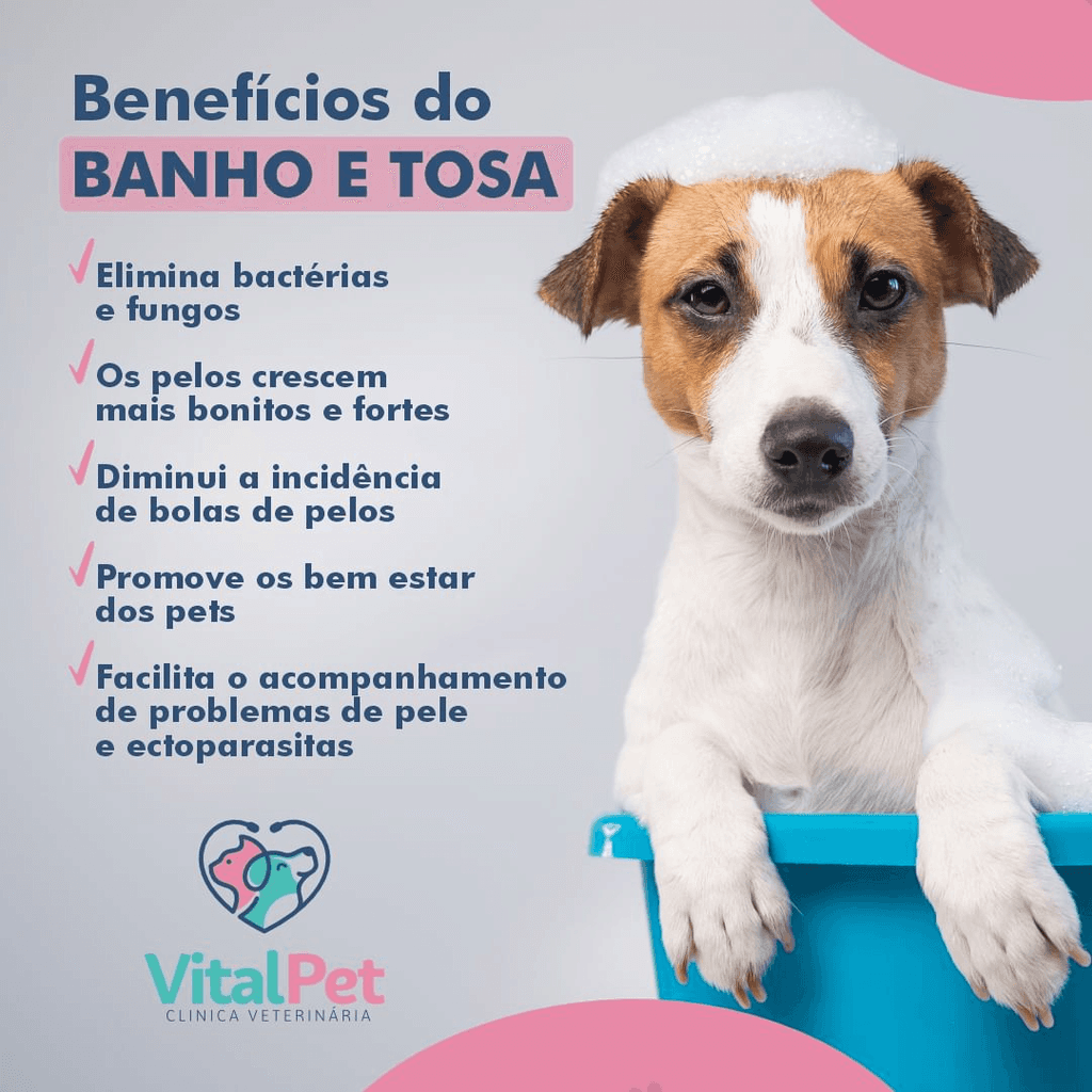 Banho e tosa na Vital Pet Clínica Veterinária - Benefícios incluem a eliminação de bactérias, fortalecimento dos pelos e facilidade no acompanhamento da saúde do seu pet. Cuide do visual e da saúde do seu animal.