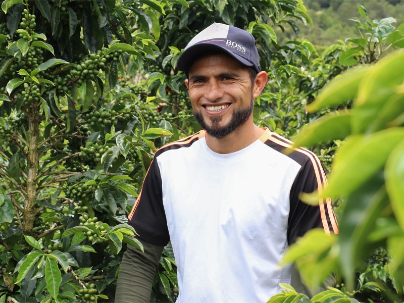 Los Pirineos Coffee: Maragesha Black Honey