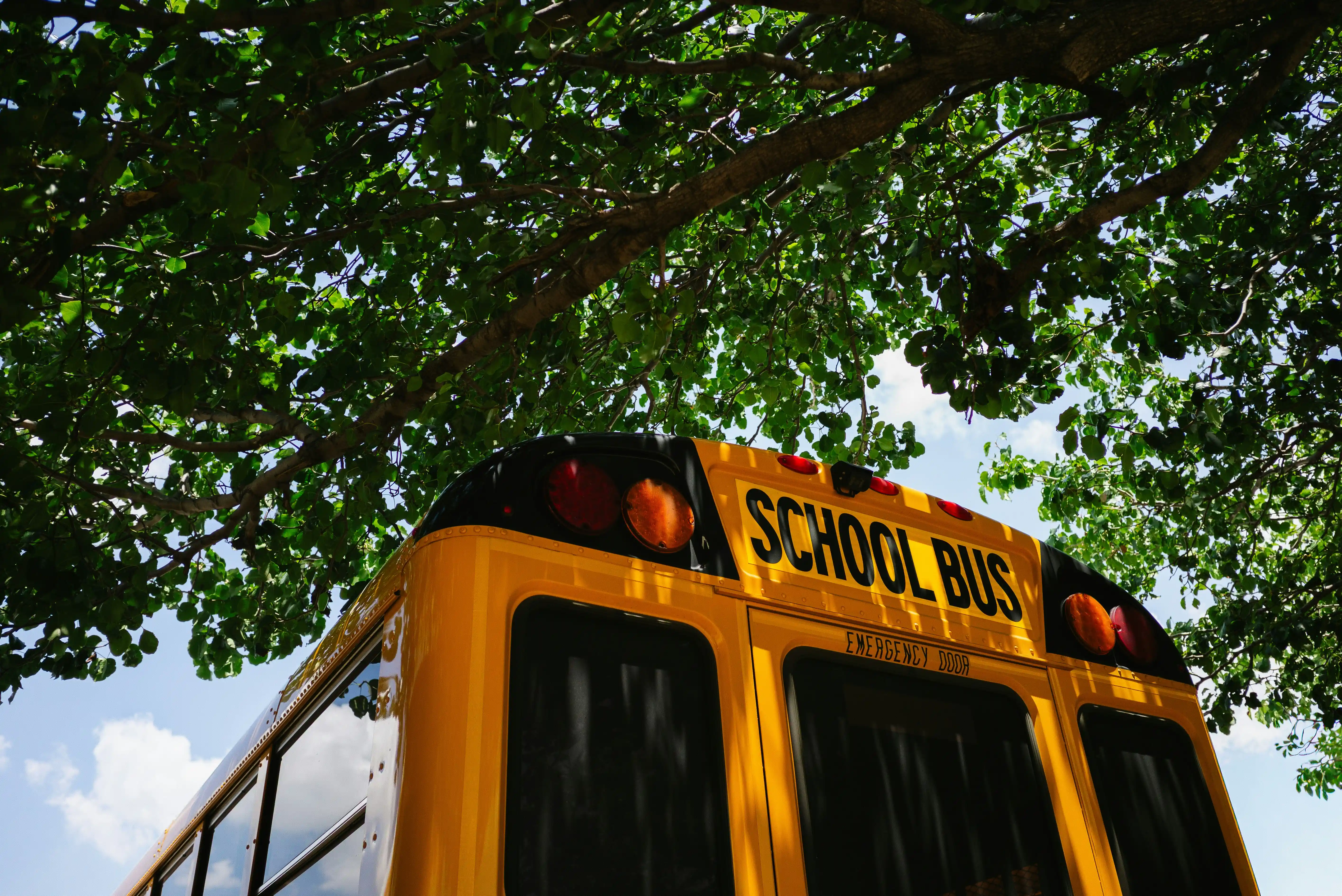 Schools in the Dominican Republic