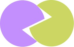 Junior Web Developer