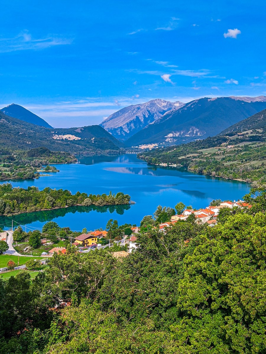 Close-up of a scientist holding a tray of petri dishes with purple cultures, wearing gloves and safety gear.
