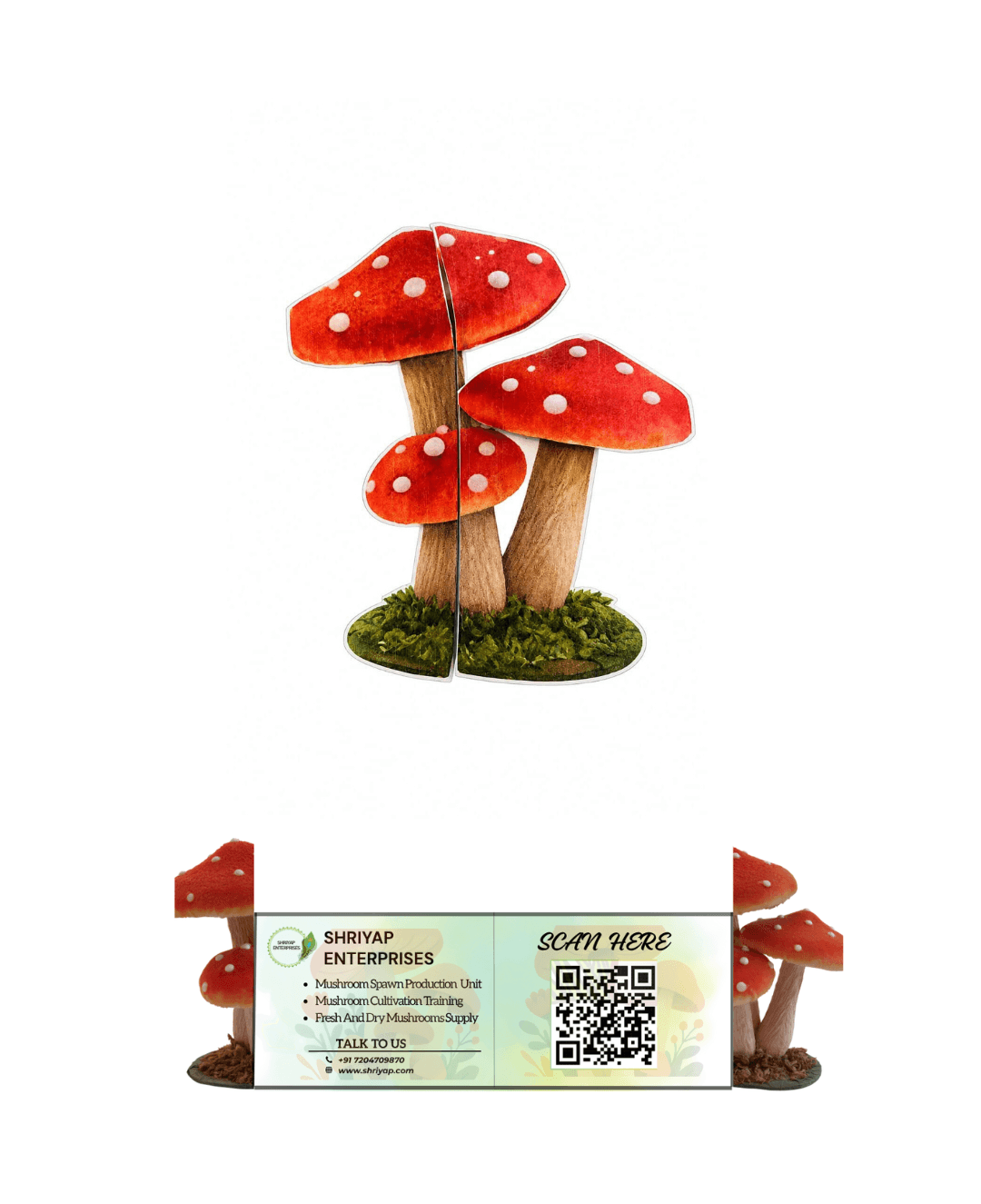 Portfolio project image