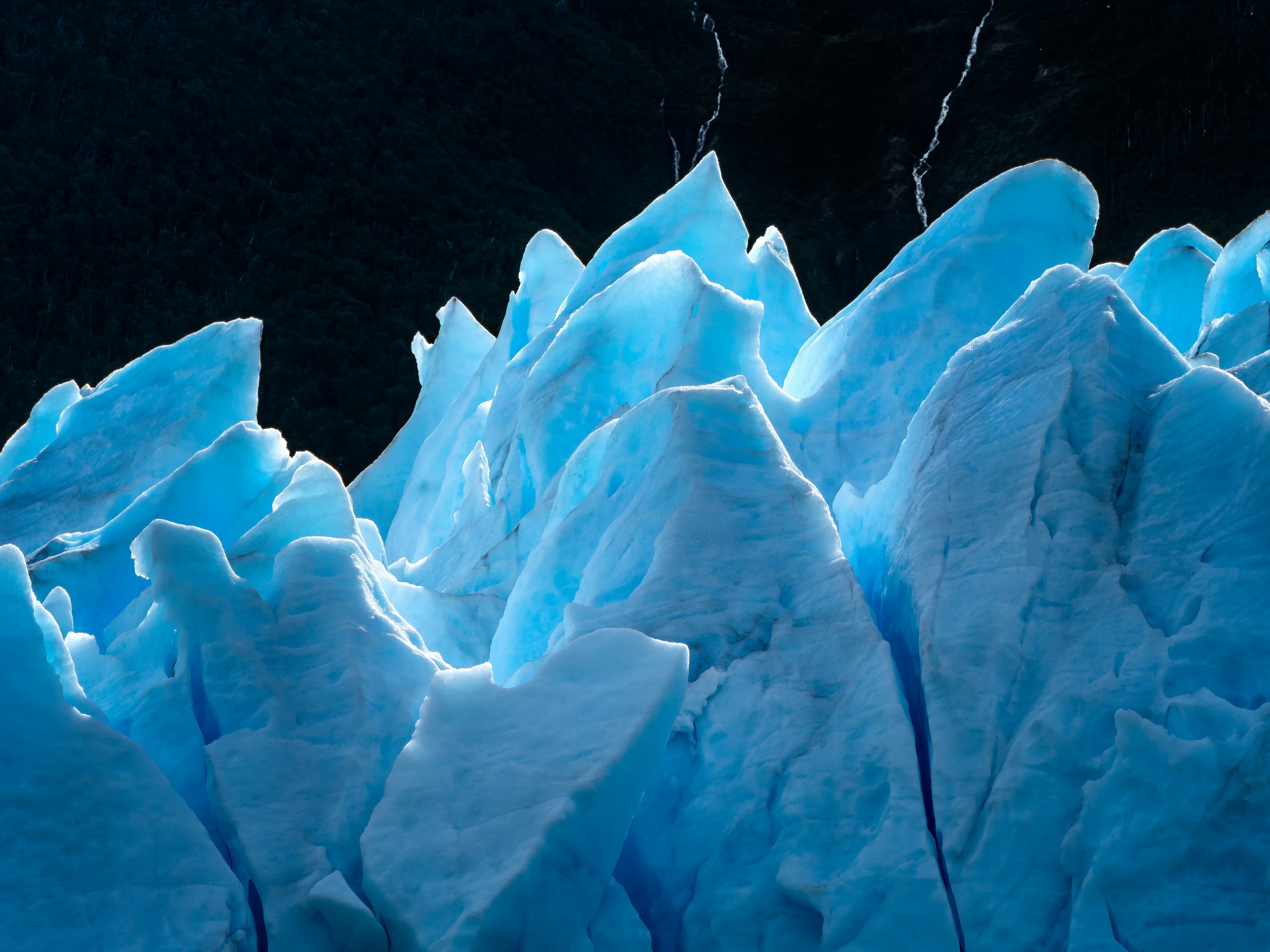 Silhouette of a researcher examining a slide under a microscope with a blue background.