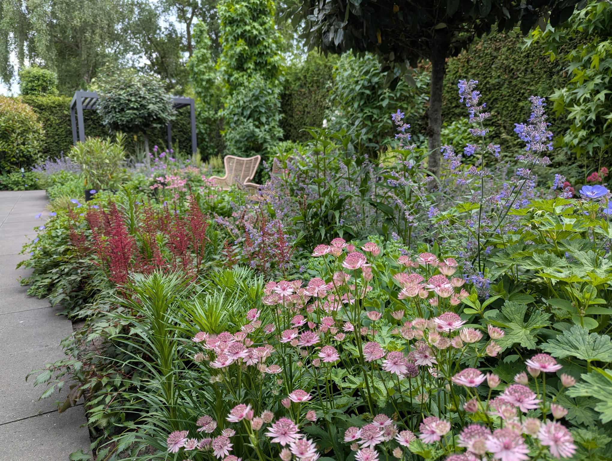 Tuin aanleg en onderhoud van Prins gardens in Krimpen aan den IJssel