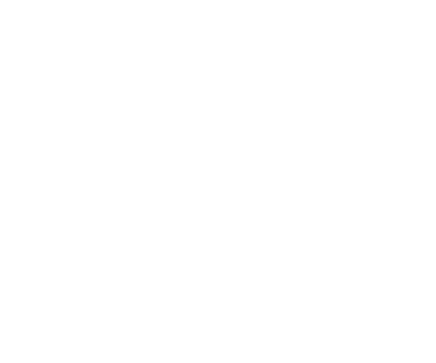 Bru Brothers