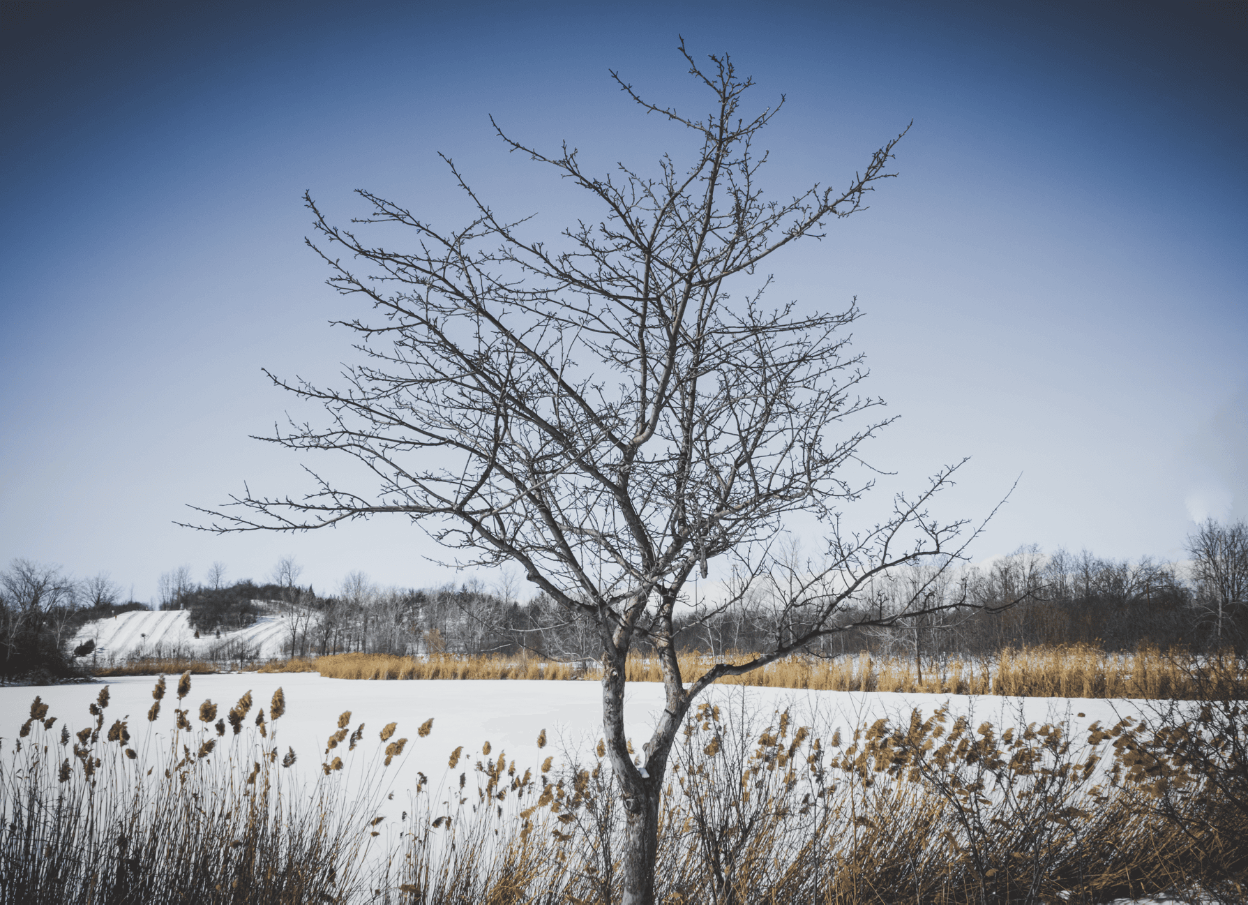 Featured Project Cover Image