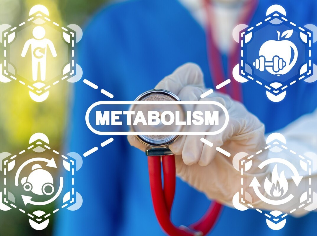 workout plan for weight loss