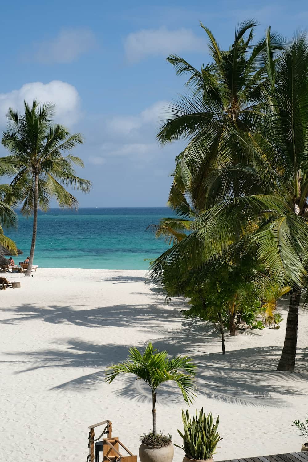 Weißer Sandstrand auf Sansibar mit Palmen und türkisblauem Meer – exotisches Reiseziel für Flitterwochen.