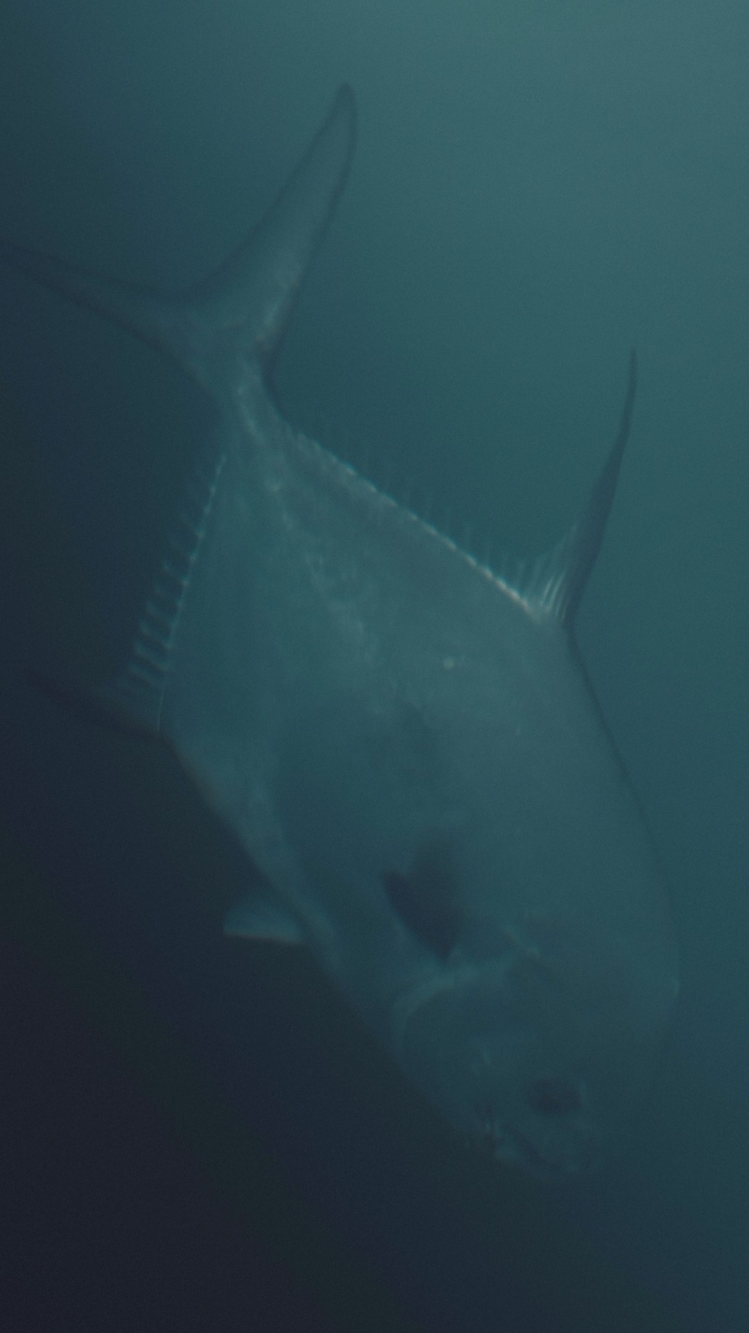 Angler holding a bent fly fishing rod during golder hour