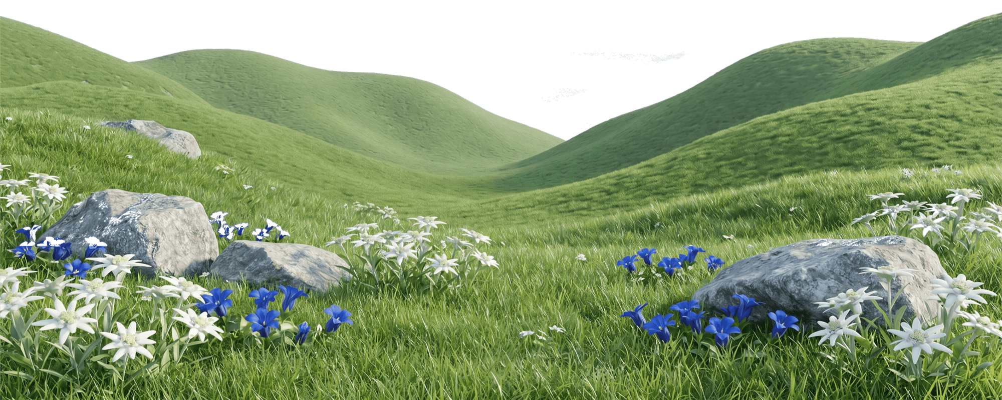 Decoration Image