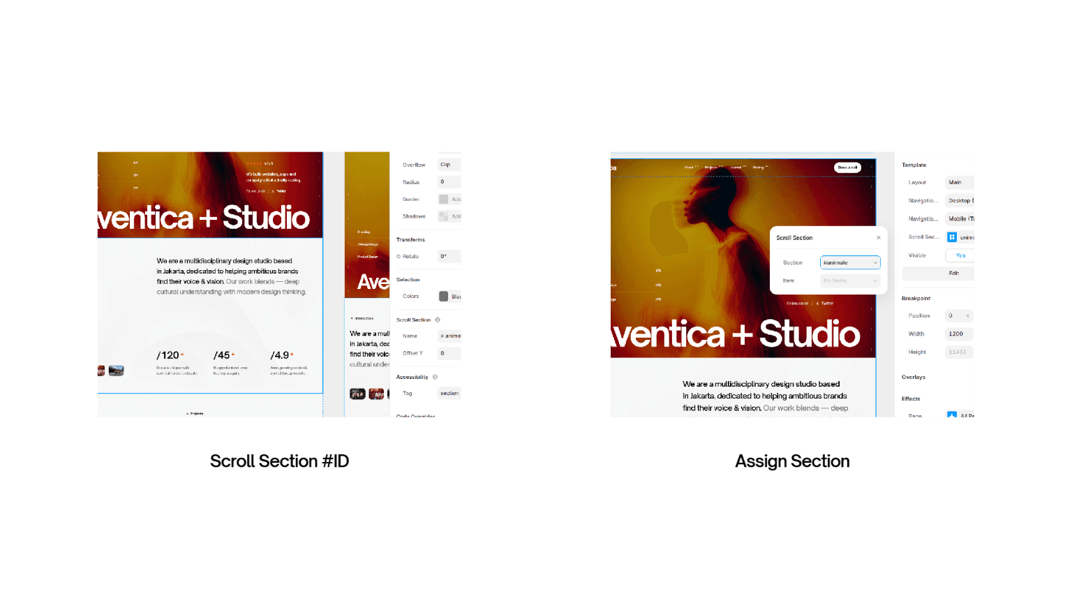 Image of the templates guidelines