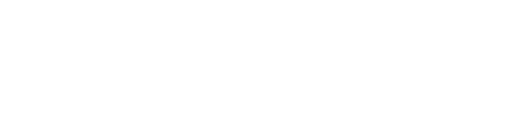 Logo of Noaur Group Oy