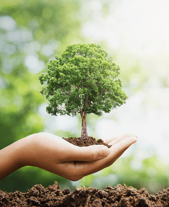 Residential Plumbing