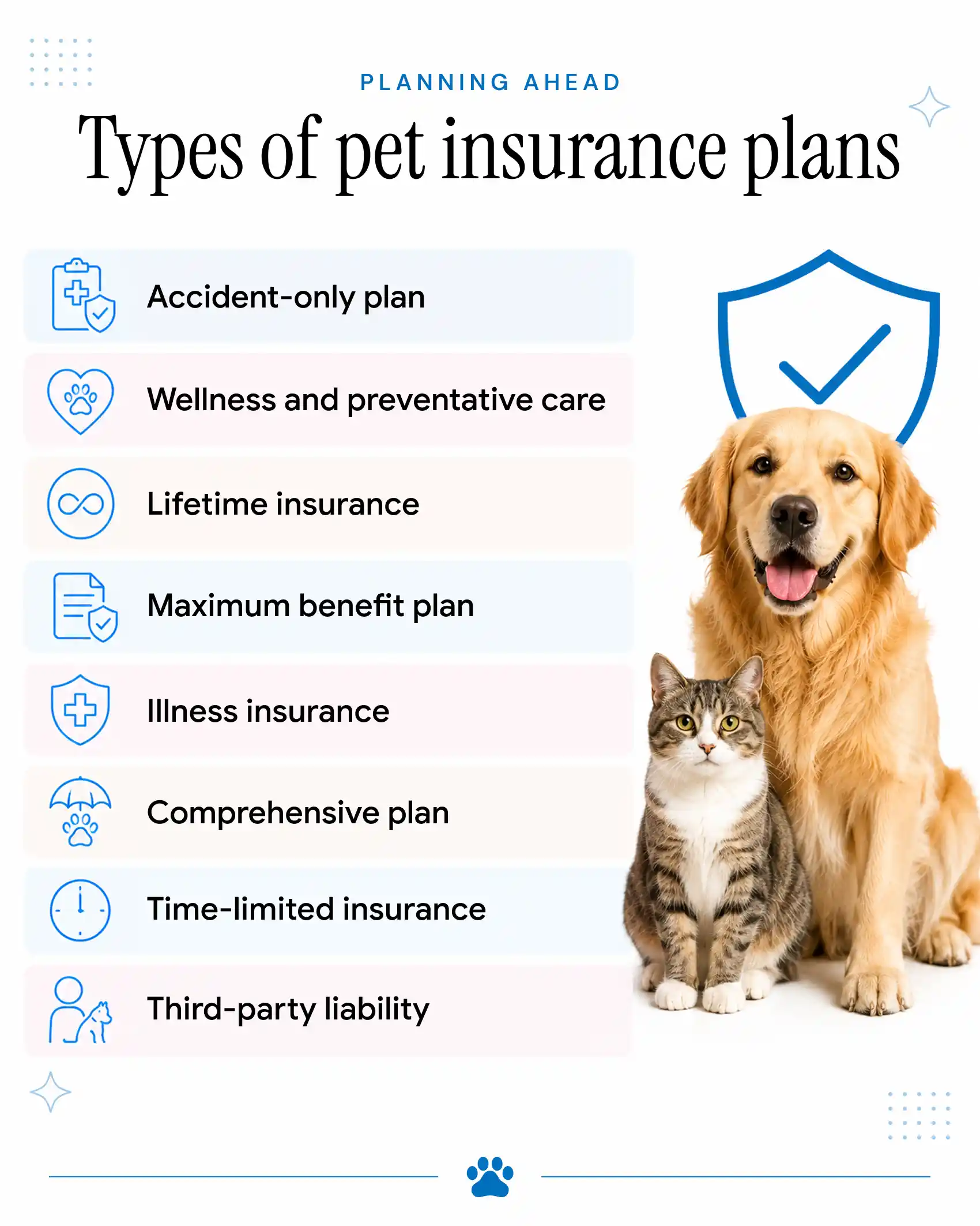 An infographic showing the types of pet insurance plans available in Dubai.