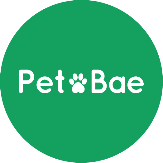 Pet Bae