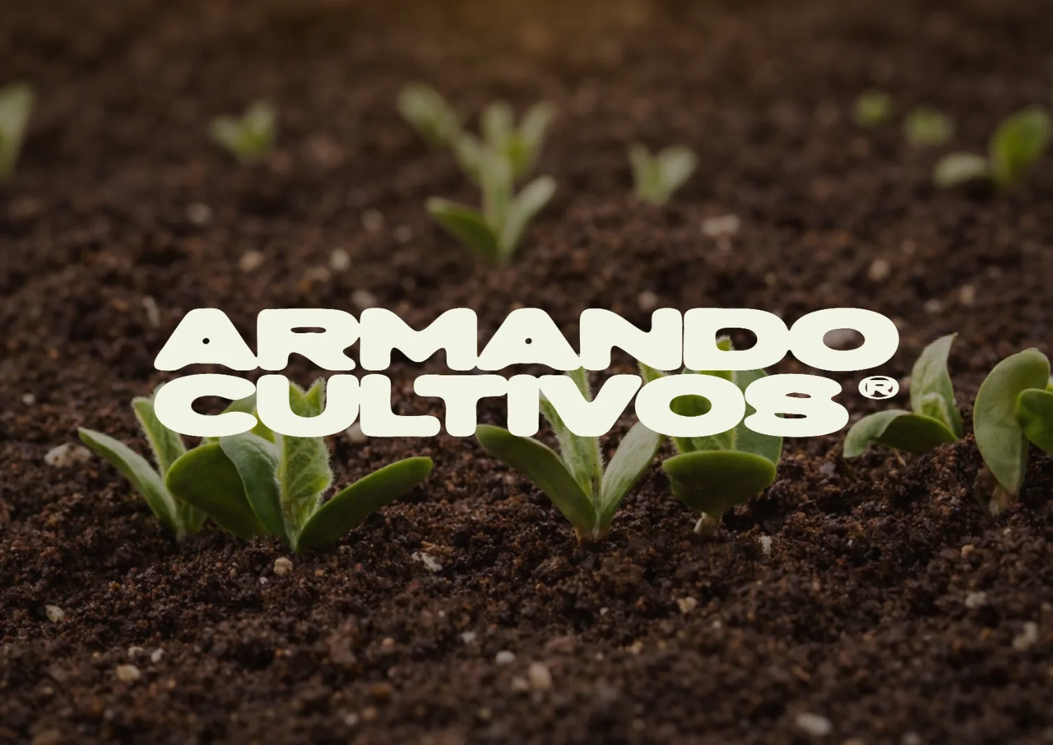 Armando Cultivos wordmark over soil with young sprouts