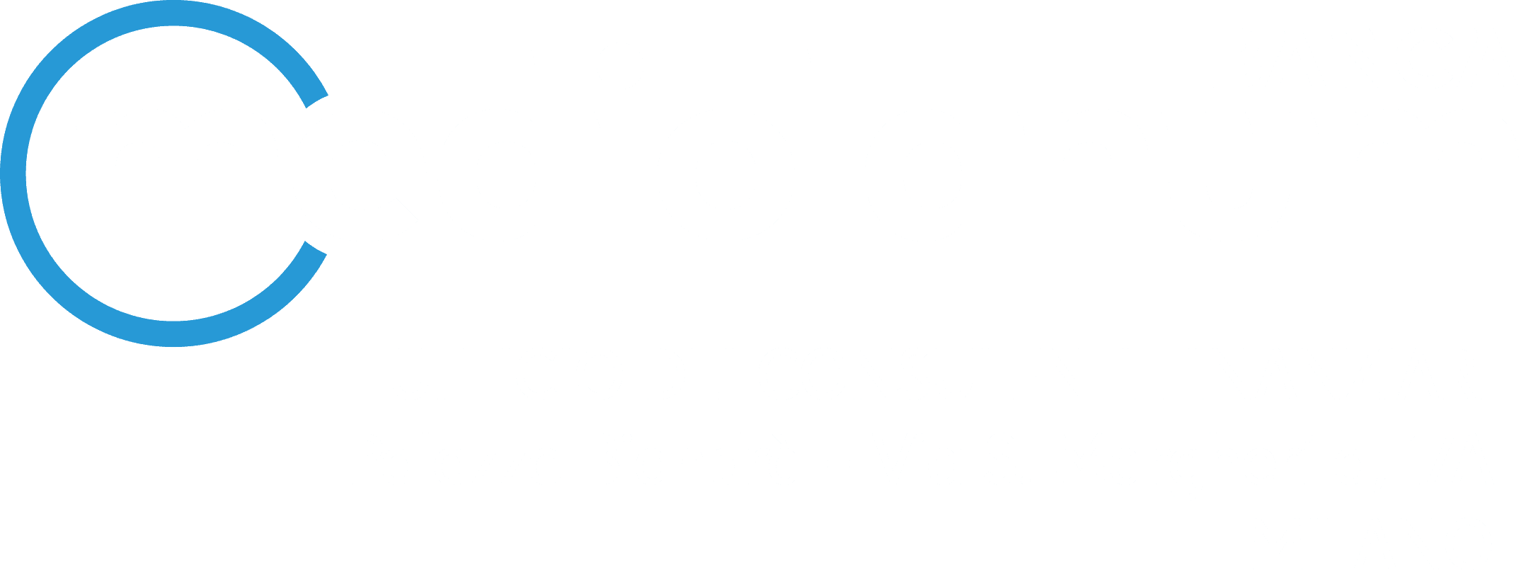 A dummy company logo