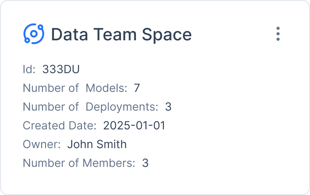 Data Team Space overview showing models, deployments, and team details.