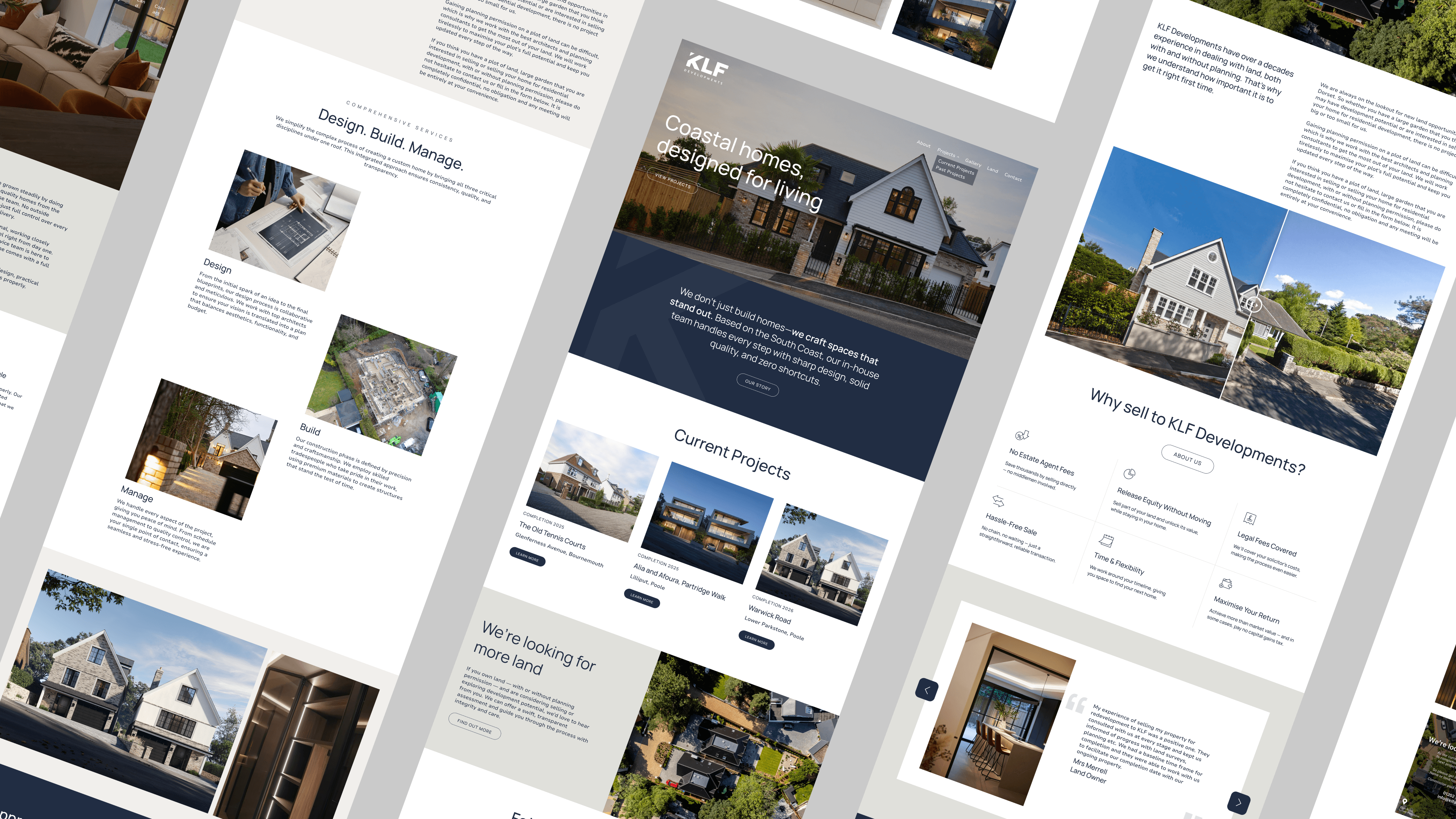 dark green leaves of coniferous plants