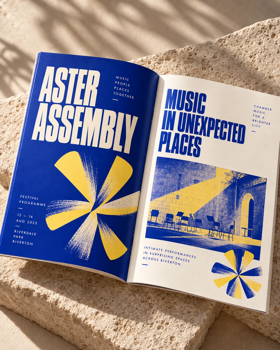 Aster Assembly — festival programme brand application