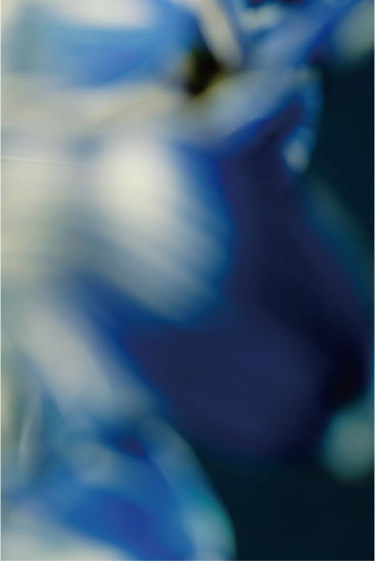 Carousel image 6