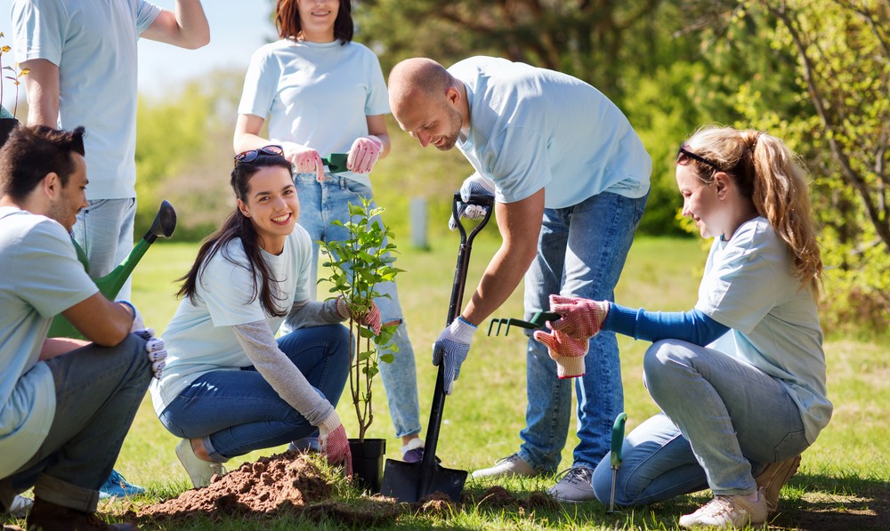 image of group volunteer workers planting a new tree