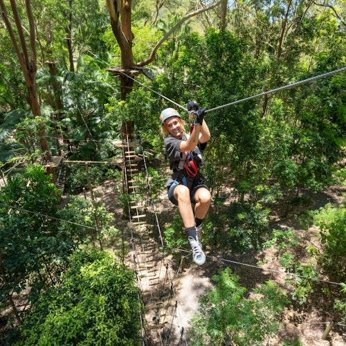 شخص يرتدي خوذة وحزام الأمان ينزلق بالحبل عبر مظلة الغابة، مع وجود الأشجار والمنصات الخشبية أسفله.