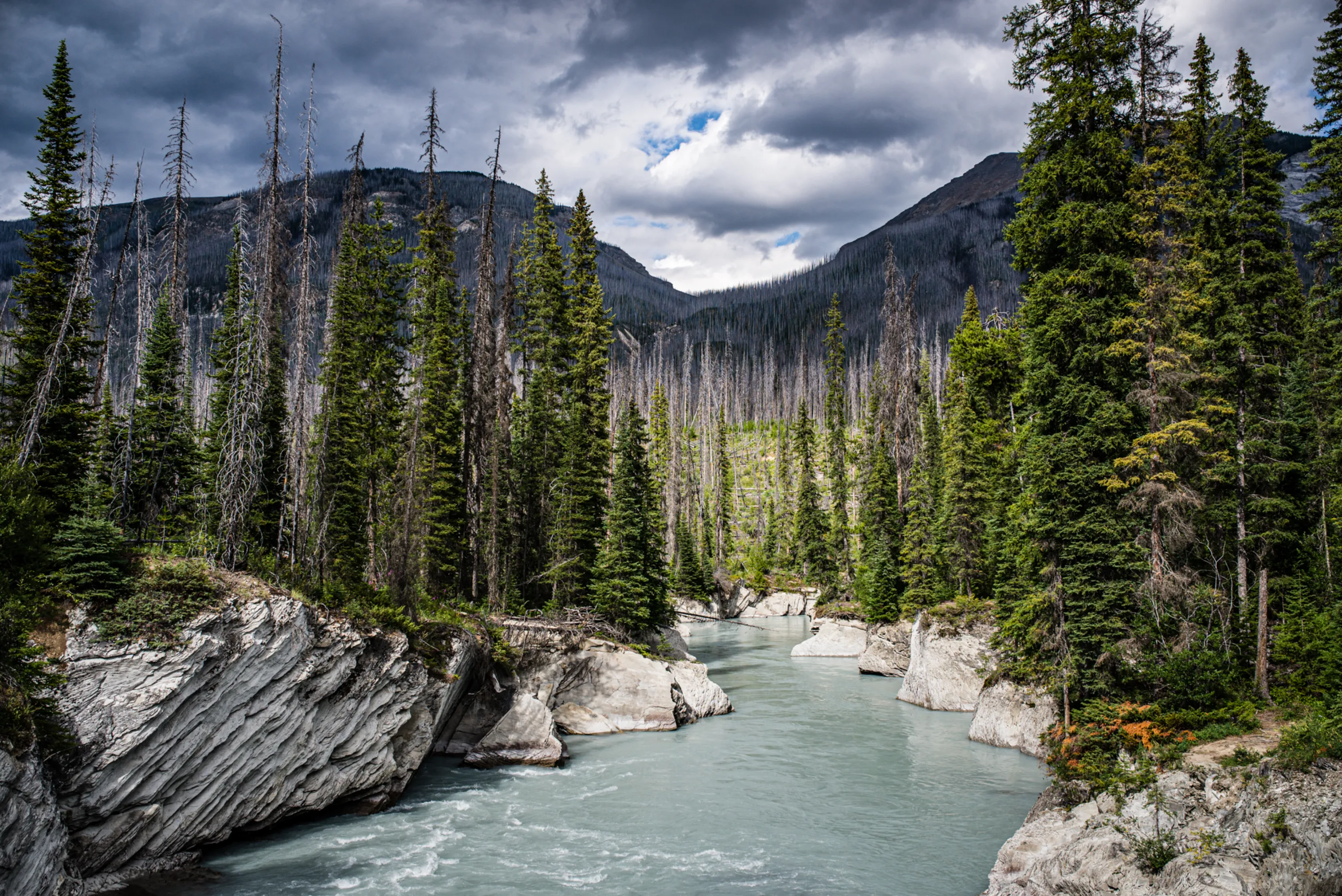 Wilderness & Wildlife 02