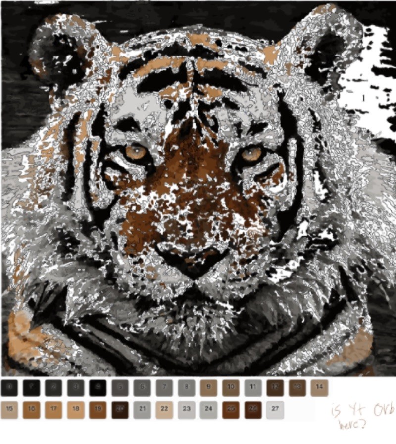 Tiger paint by number!