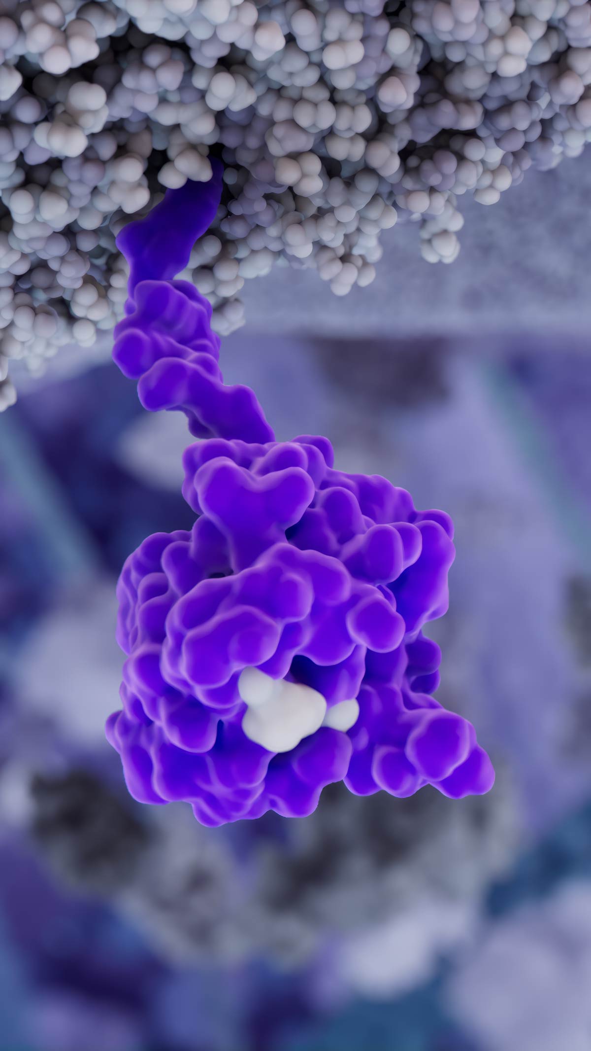 RAS(ON) attached to the membrane