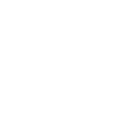 download icon