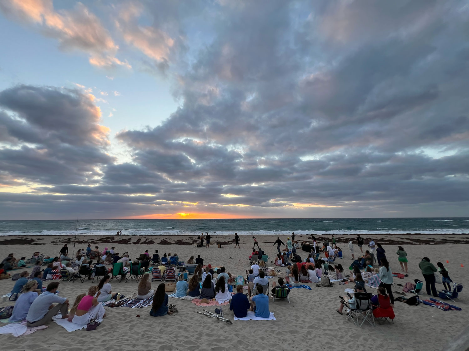 aerial shot of forest