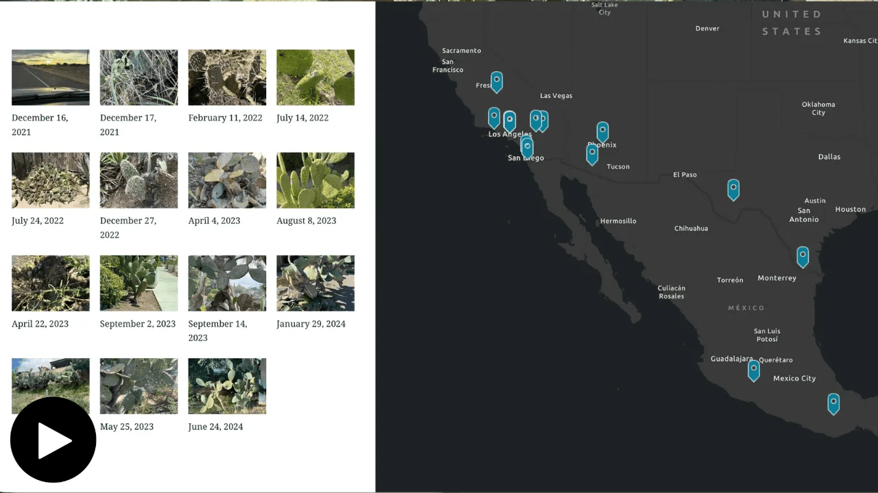 screenshot of cochineal locations from Aguiniga's Storymap