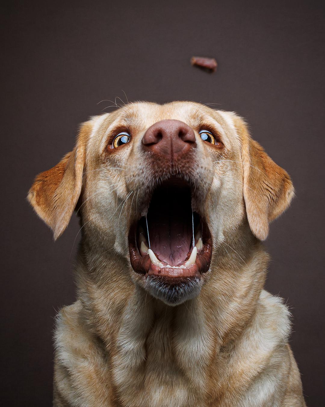 Close-up of a tree stump showing growth rings and a textured brown wood surface.