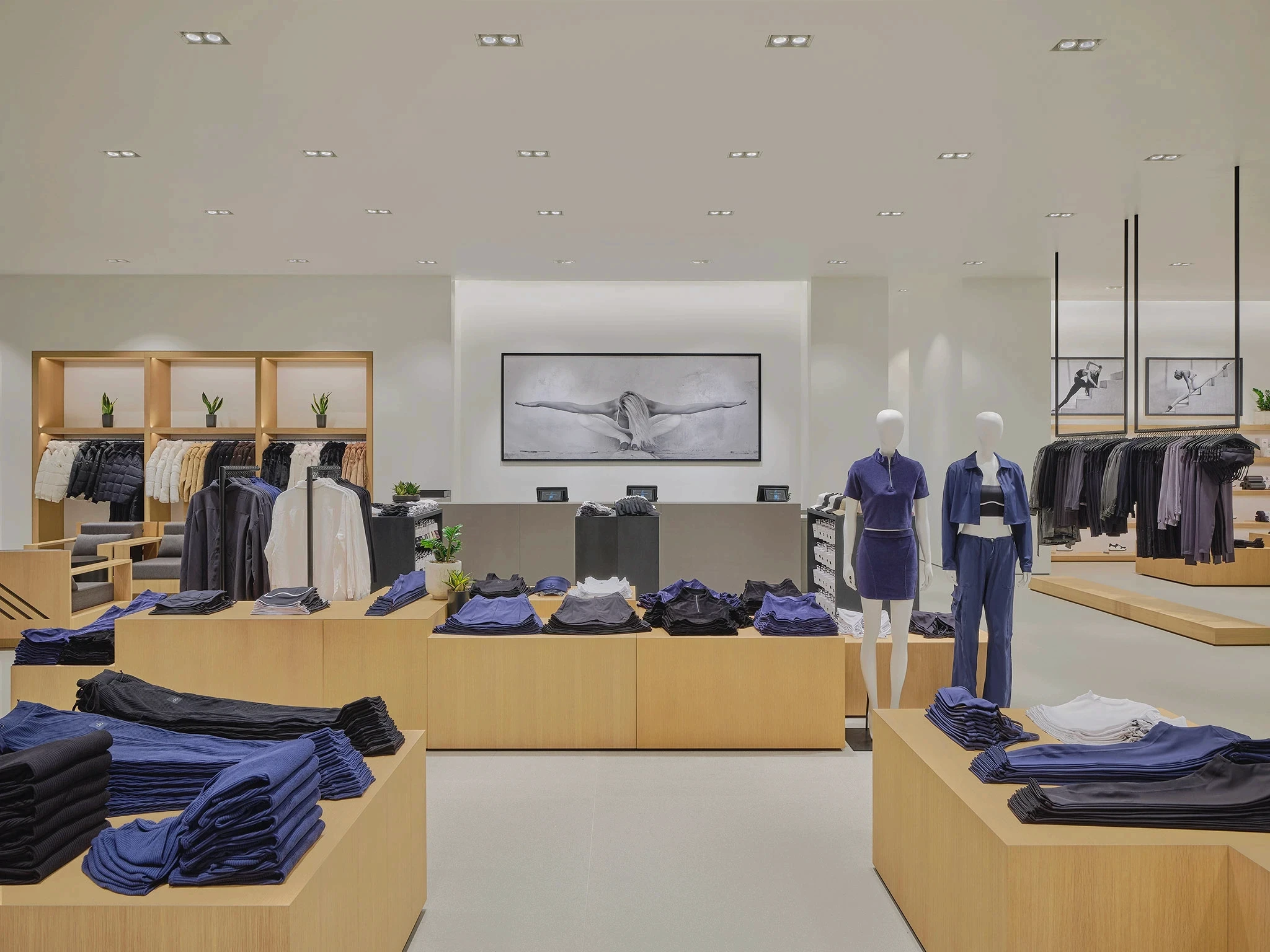 camera studio set up