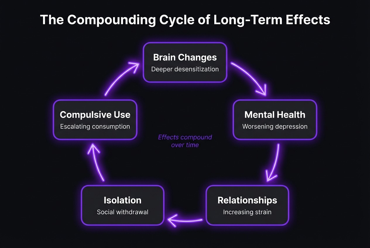 diagram represention the various long term effects of porn addiction