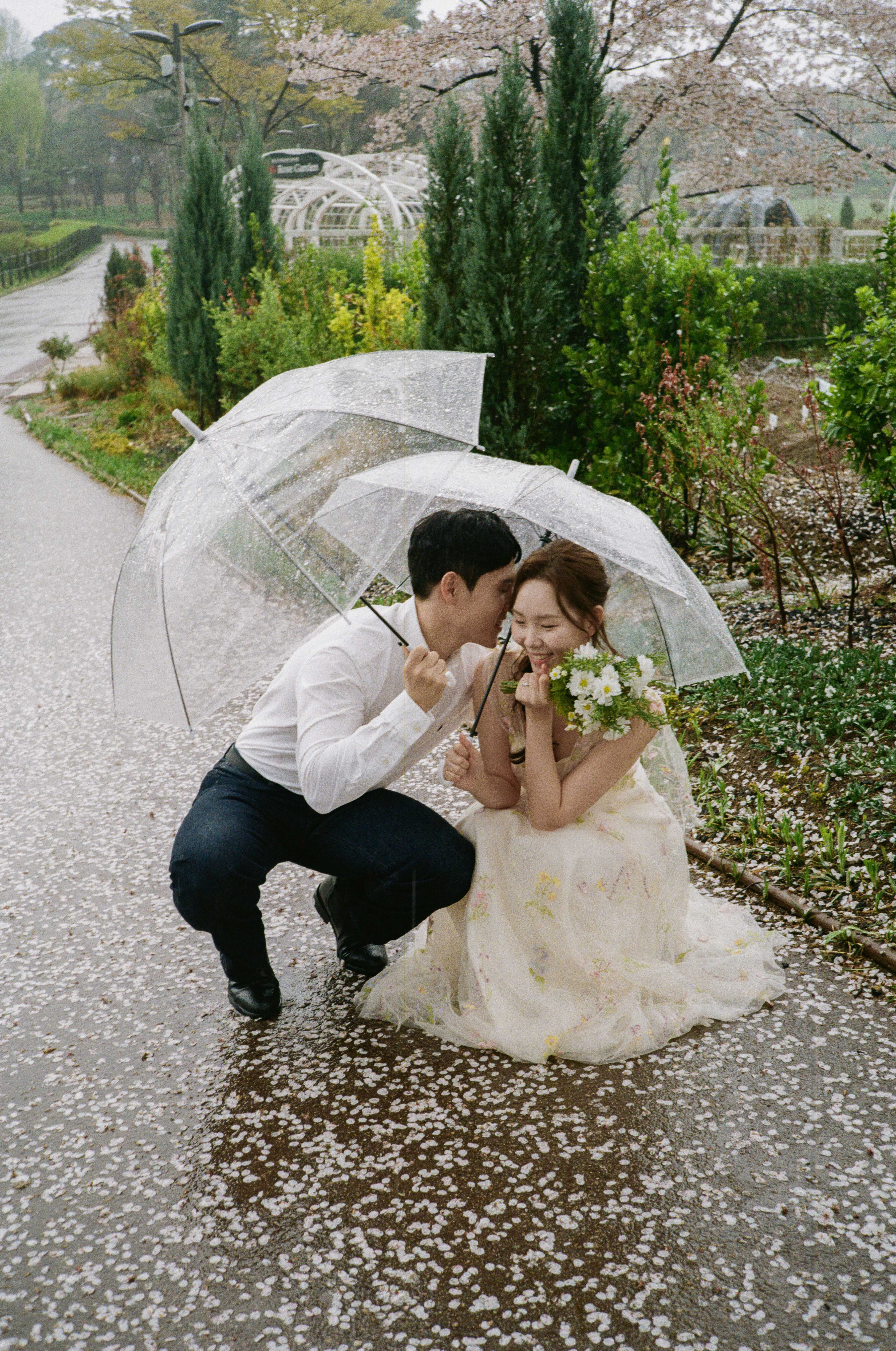 용산공원 미군기지 필름 웨딩스냅 후기 | 오프그리드가 기록한 비 오는 날의 빈티지 로맨스