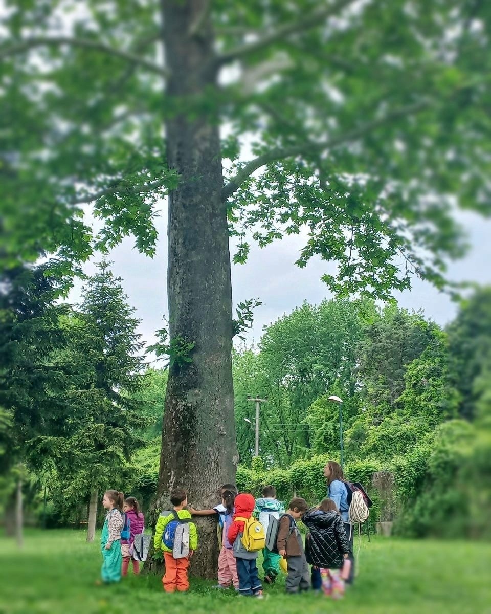 Contact Banner Image