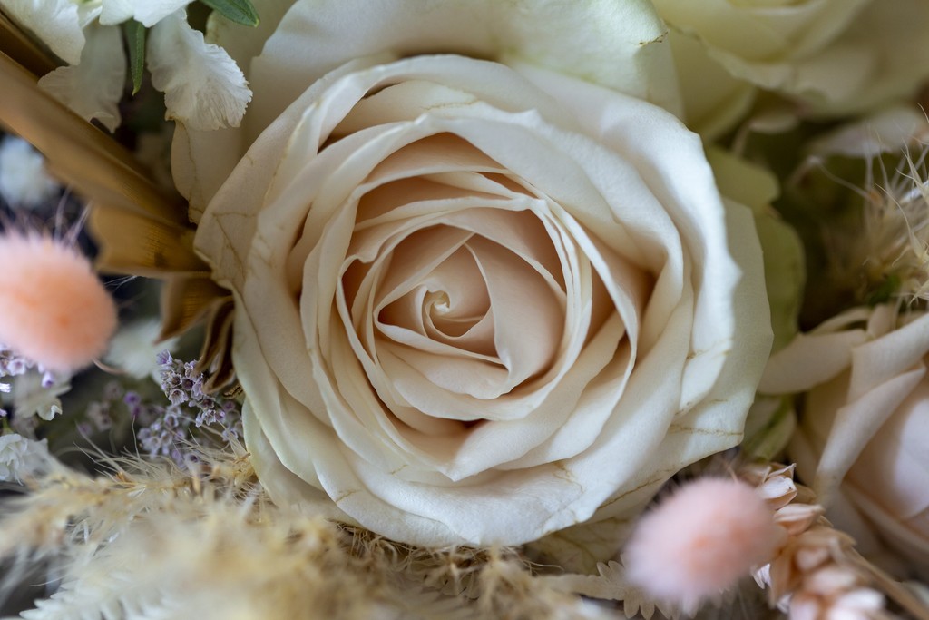 Album photo de luxe — French wedding photographer Paris — luxury wedding book France — Maison Elion — relique photographique rare — fragment intemporel — rituel artistique — photographe mariage haut de gamme — Seine-et-Marne 77 — album mariage bespoke sur mesure — timeless photography France — image symbolique — luxury French wedding photography